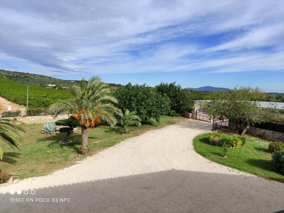 Finca Tierra Roja Cálig Eksteriør bilde